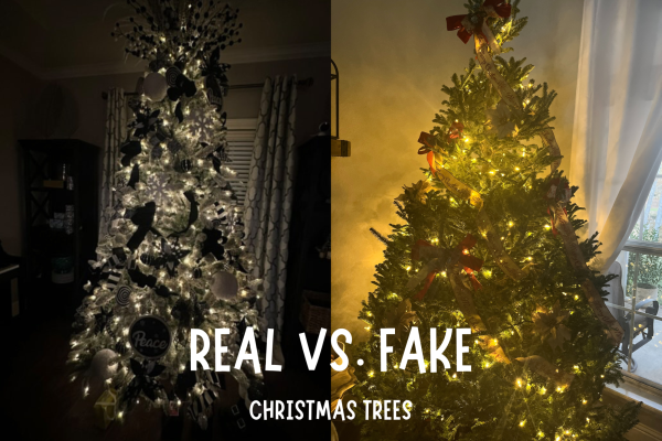 The average cost of a live tree is around $80, where the cost of a fake one is around $100. Although more expensive, fake trees last far longer, where real trees are disposed of after one use.