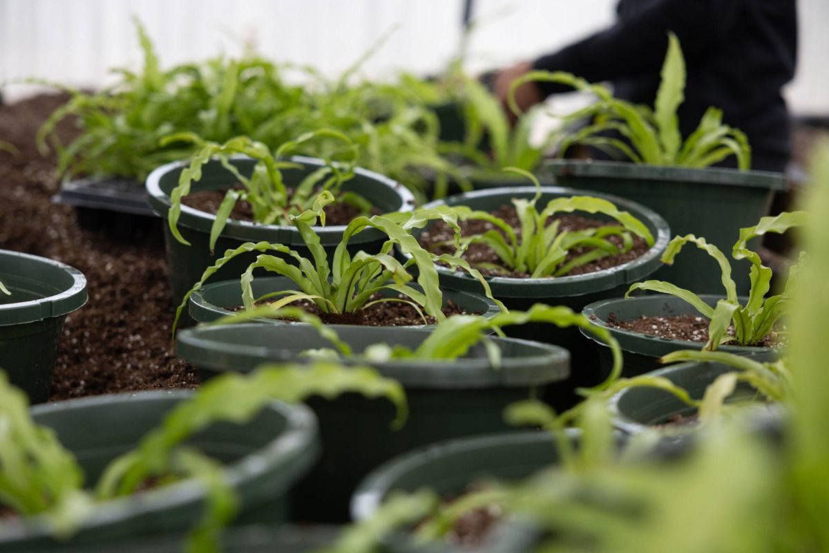 On Feb. 25-26, 2025, from 9-10:30 a.m., the Gifted and Talented students toured the agriculture building to get a thorough, first-hand experience of the classes that the program on campus offers. 